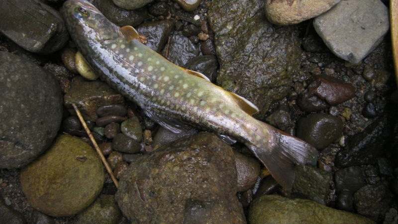 SANY0040.JPG