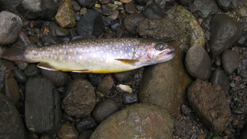 SANY0042.JPG
