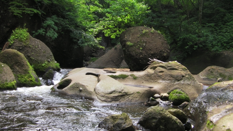 SANY0044.JPG
