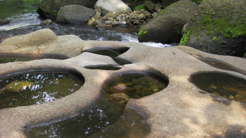 SANY0050.JPG
