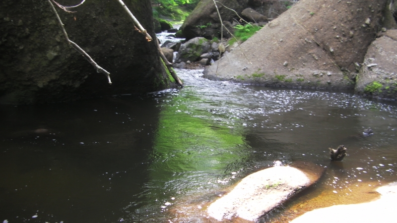SANY0051.JPG