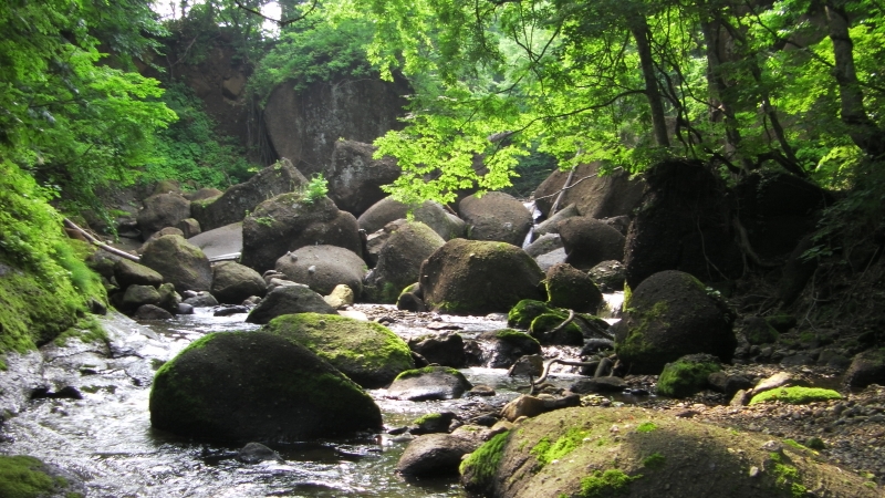 SANY0057.JPG