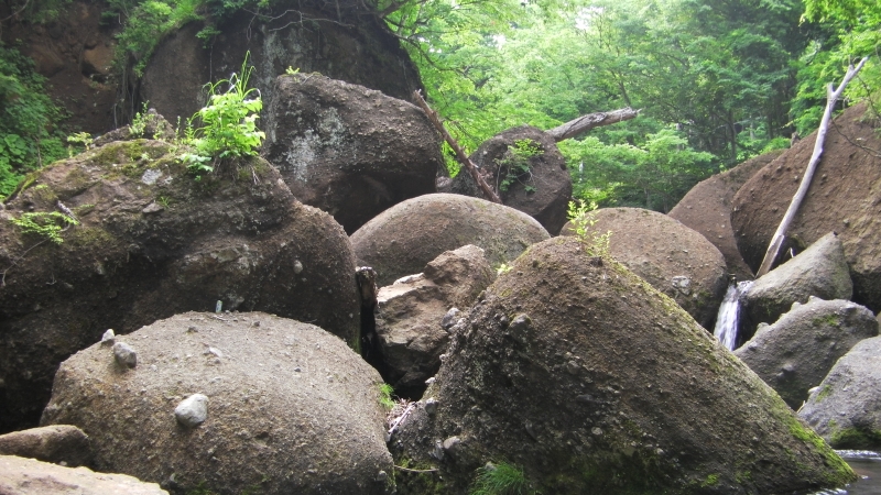 SANY0058.JPG