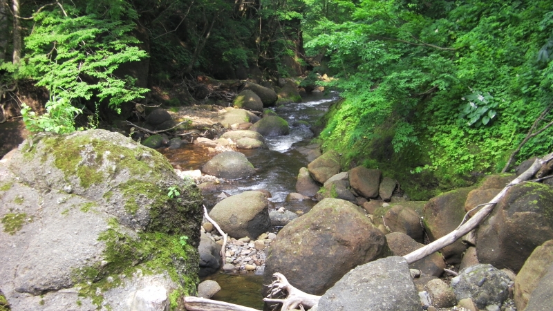 SANY0061.JPG
