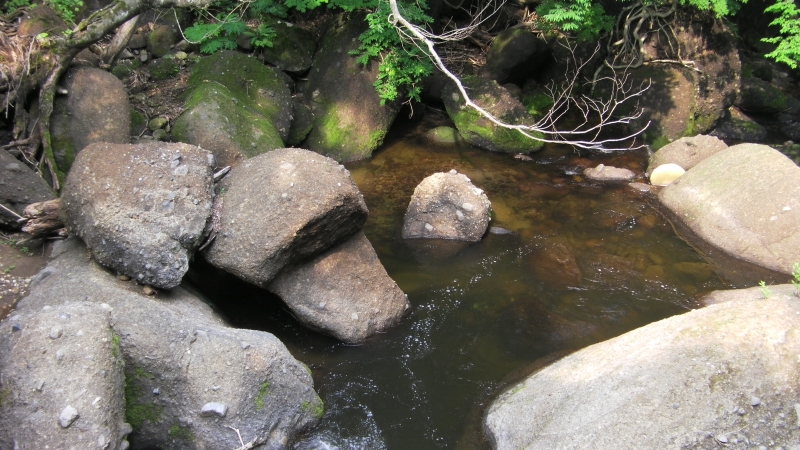 SANY0065.JPG