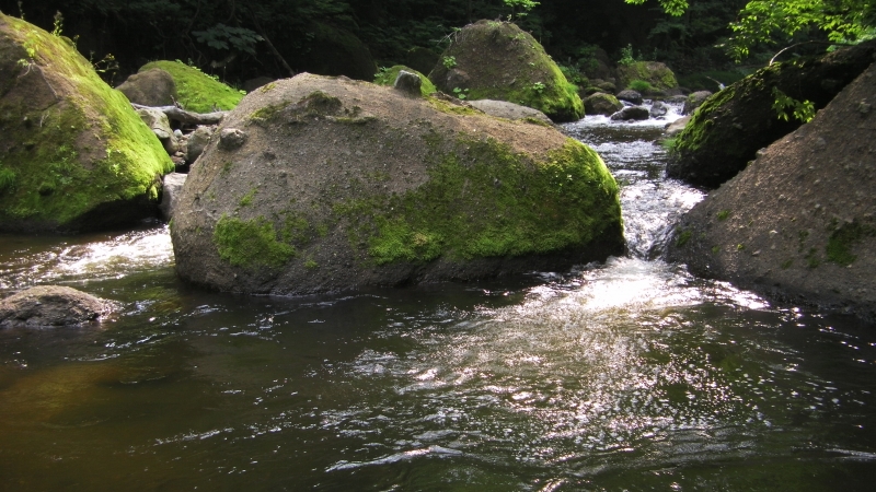 SANY0074.JPG