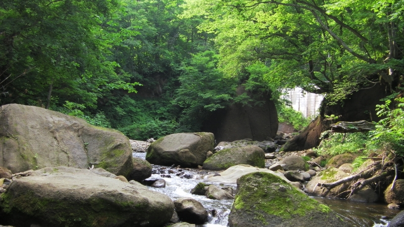 SANY0075.JPG