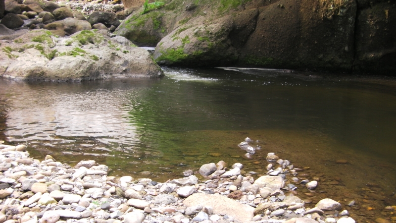 SANY0076.JPG