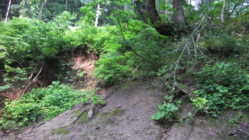 SANY0080.JPG