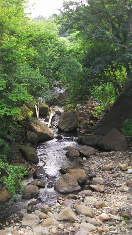 SANY0085.JPG