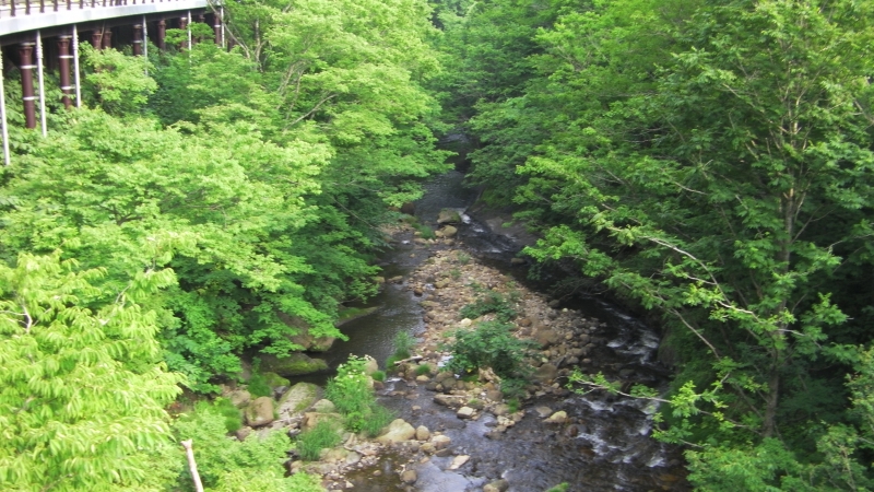 SANY0090.JPG