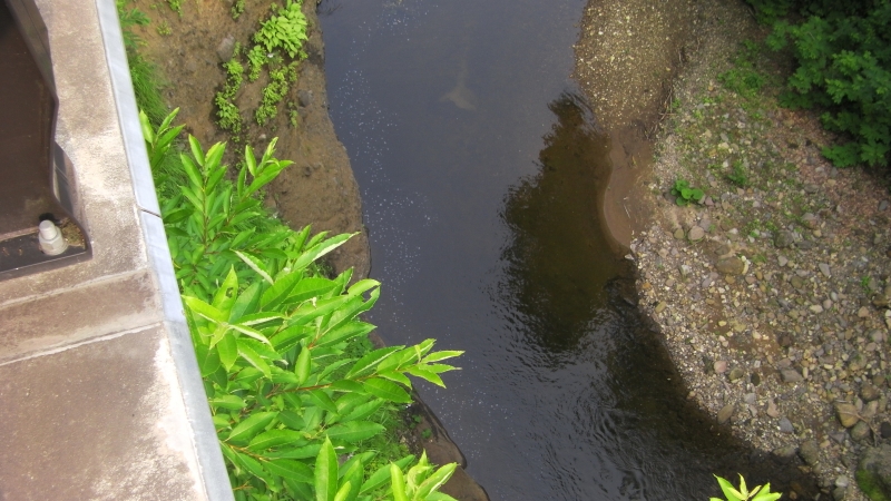 SANY0092.JPG