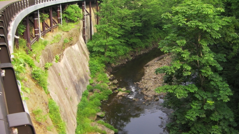 SANY0093.JPG