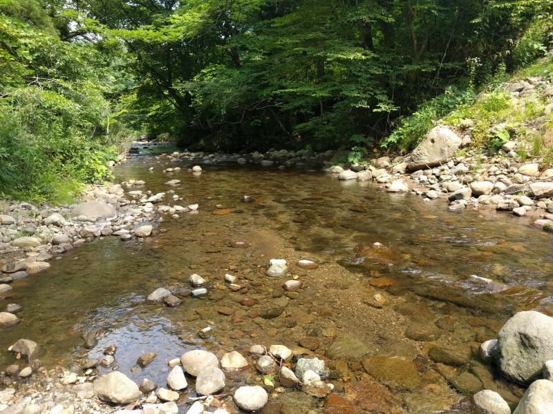 IMG_20170709_132941.jpg