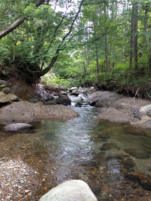 IMG_20170709_141755.jpg