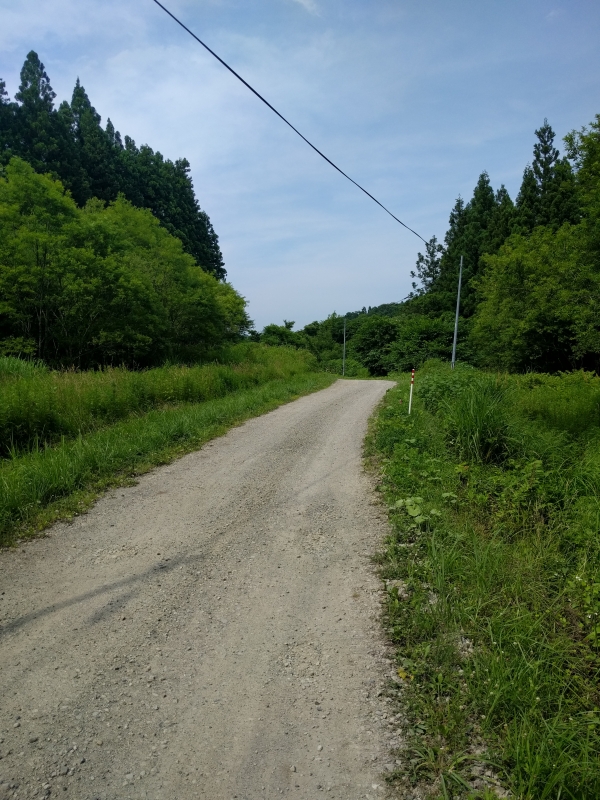 IMG_20170709_142755.jpg