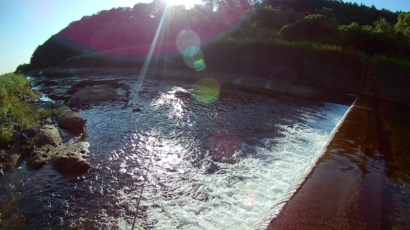 FHD0005.JPG