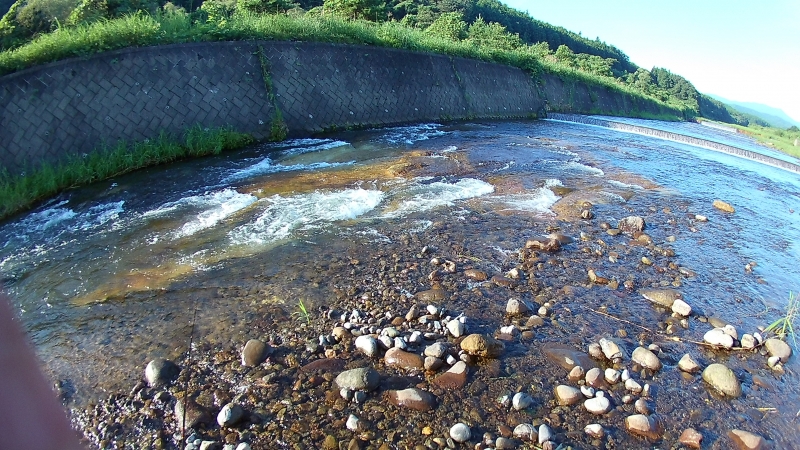 FHD0009.JPG