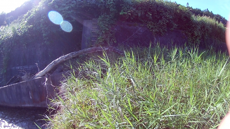 FHD0015.JPG