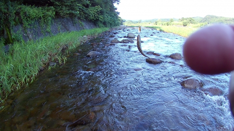 FHD0024.JPG