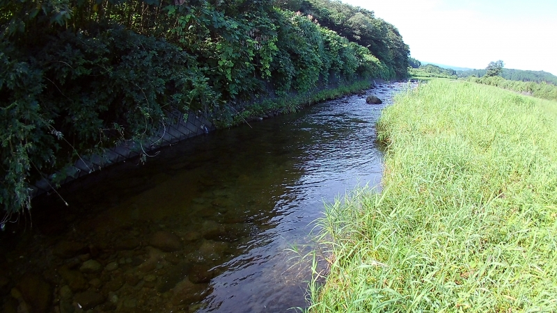 FHD0029.JPG