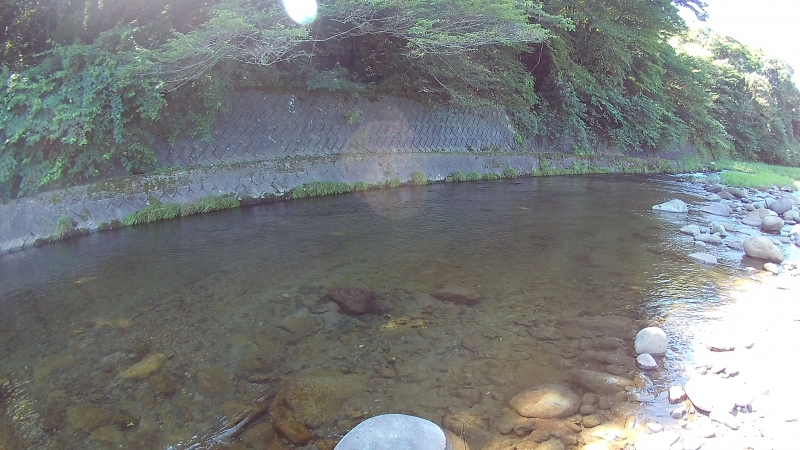 FHD0047.JPG
