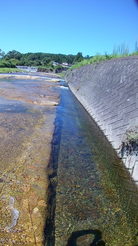 FHD0059.JPG