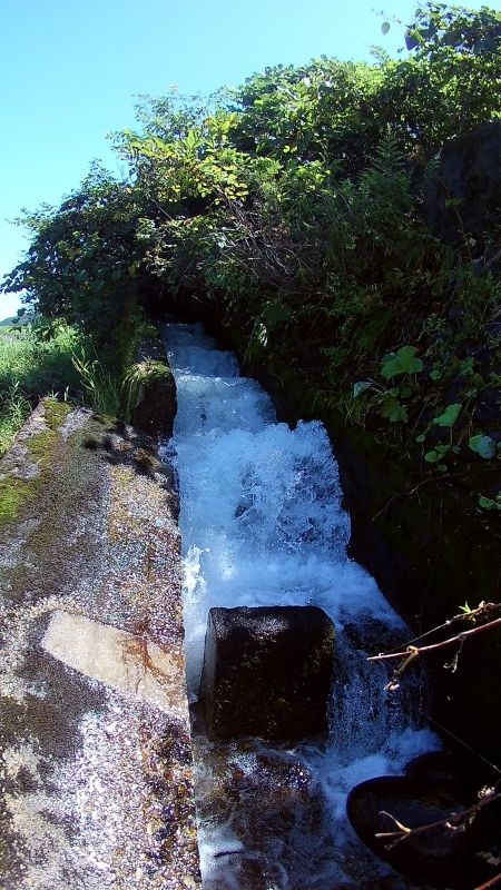 FHD0065.JPG