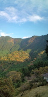 20101126155052.jpg