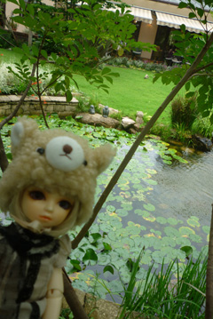 2009年8月オフ撮影会