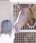 馬