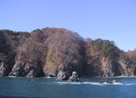 観光船から