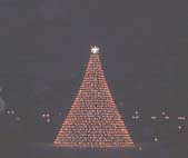 クリスマスツリー