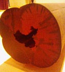 中国の丸太
