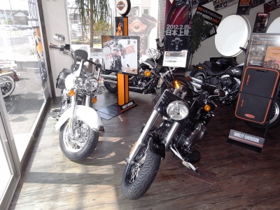 ¥½¥Õ¥Æ¥¤¥ë¥·¥ê¡¼¥º¡¦SOFTAIL