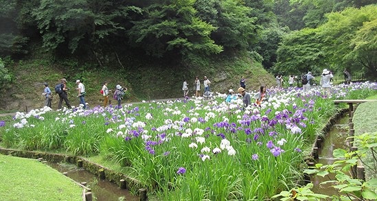 105.JPG