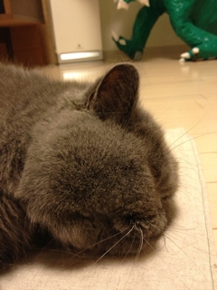 iPhoneImage.png