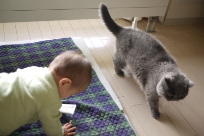 P1150814 のコピー.JPG