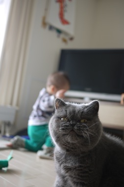 P1160580 のコピー.JPG
