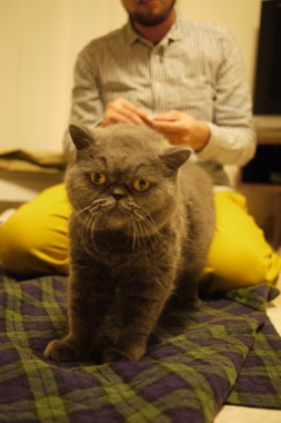 P1160926 のコピー.JPG
