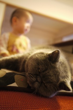 P1160937 のコピー.JPG
