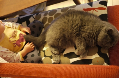 P1160939 のコピー.JPG