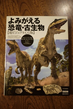 P1170005 のコピー.JPG