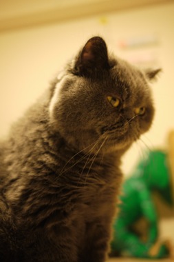 P1170685 のコピー.JPG