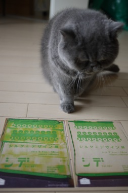 P1180111 のコピー.JPG