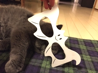 20141022_1361024.jpg