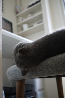 P1200092 のコピー.JPG