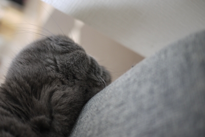 P1200095 のコピー.JPG