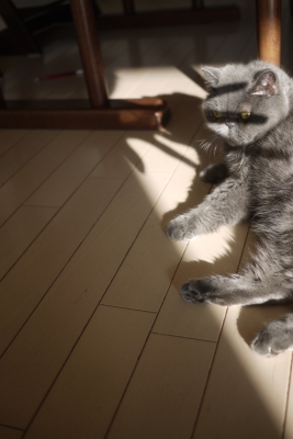 P1220692 のコピー.JPG