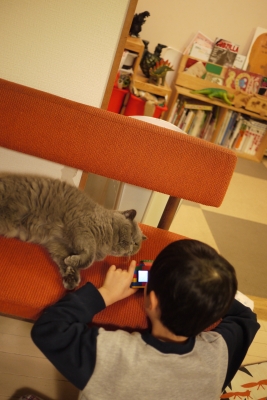 P1220226 のコピー.jpg